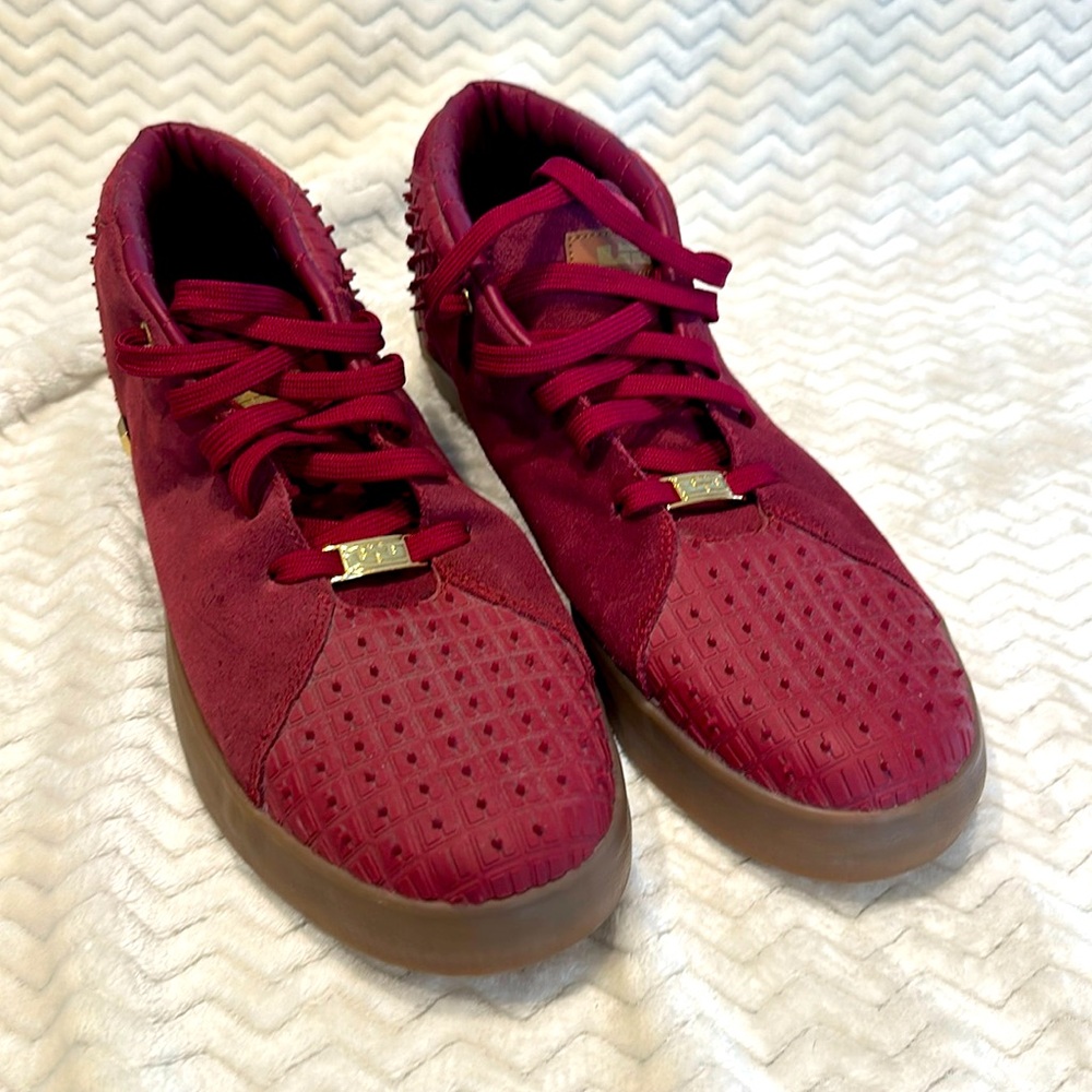 Nike Lebron Sneakers